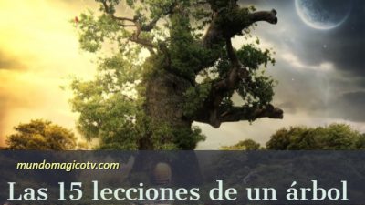 Arbol