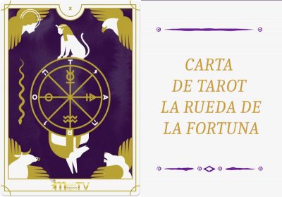 tarot rueda fortuna